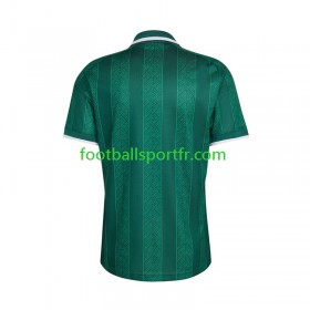 Tenue Afrique Du Sud Exterieur World Cup 2026 Maillot de Foot